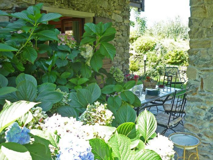 Villa Erica con piscina privata sul lago di Como Colico Esterno foto